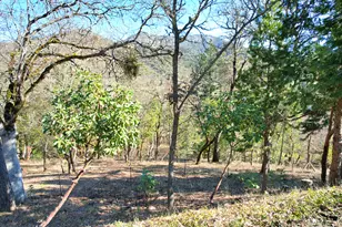 1682 Brown Rd, Applegate, OR 97530 - Photo 50