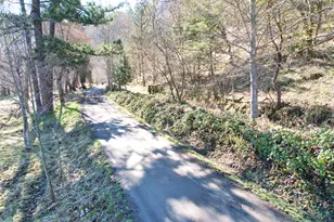 1682 Brown Rd, Applegate, OR 97530 - Photo 42