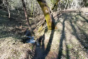 1682 Brown Rd, Applegate, OR 97530 - Photo 44