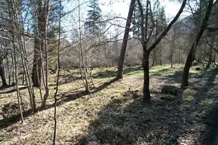 1682 Brown Rd, Applegate, OR 97530 - Photo 46