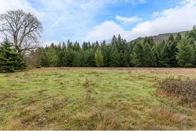 0 Upper Cow Creek Road, Azalea, OR 97410 - Photo 12