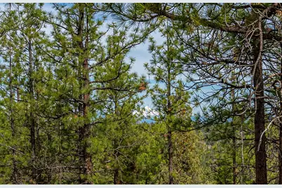 3399 NW Greenleaf Way, Bend, OR 97703 - Photo 6