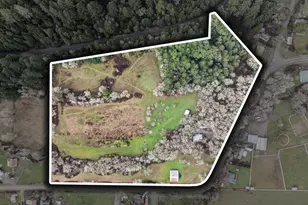 441 Tunnel Rd, Glendale, OR 97442 - Photo 48