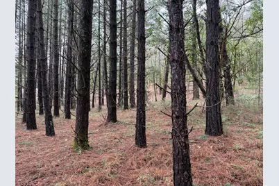 908 Riverbanks Road, Grants Pass, OR 97527 - Photo 6