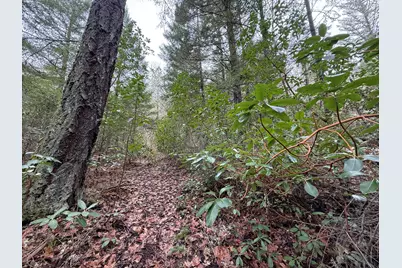 908 Riverbanks Road, Grants Pass, OR 97527 - Photo 8