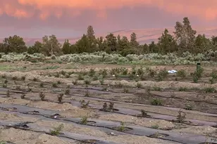 9337 SW Willard Rd, Bend, OR 97701 - Photo 26