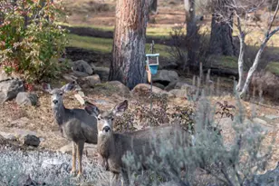 3695 NW Kirkaldy Ct, Bend, OR 97703 - Photo 58