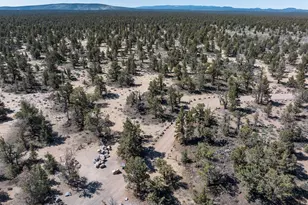 61212 Obernolte Rd, Bend, OR 97701 - Photo 46