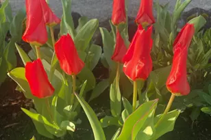 2446 Heritage Way, Medford, OR 97504 - Photo 52