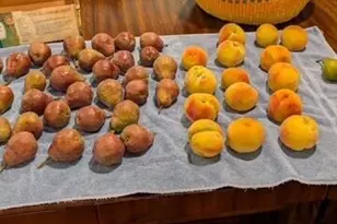 3510 Small Ct, Klamath Falls, OR 97603 - Photo 44