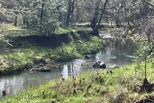 5845 Rhodes Ln, Eagle Point, OR 97524 - Photo 12