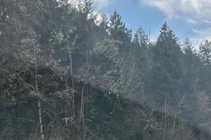 Rogue River Hwy, Rogue River, OR 97537 - Photo 1