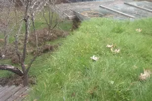 206 Lower Wolf Creek Rd, Wolf Creek, OR 97497 - Photo 26