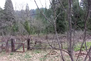 206 Lower Wolf Creek Rd, Wolf Creek, OR 97497 - Photo 30