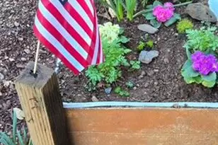 206 Lower Wolf Creek Rd, Wolf Creek, OR 97497 - Photo 32