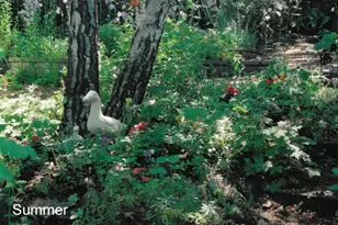 175 Hillcrest St, Ashland, OR 97520 - Photo 32