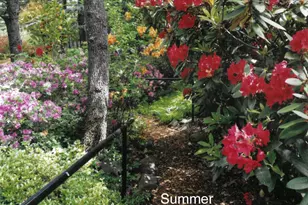 175 Hillcrest St, Ashland, OR 97520 - Photo 28