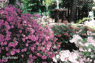 175 Hillcrest St, Ashland, OR 97520 - Photo 34