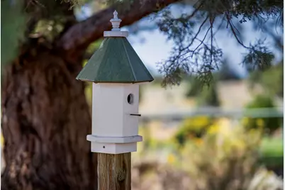 61275 Lane Knolls Court, Bend, OR 97702 - Photo 16