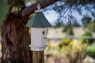 61275 Lane Knolls Ct, Bend, OR 97702 - Photo 16