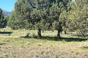 27847 Pine Creek Rd, John Day, OR 97845 - Photo 62