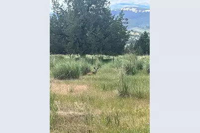 27847 Pine Creek Road, John Day, OR 97845 - Photo 44