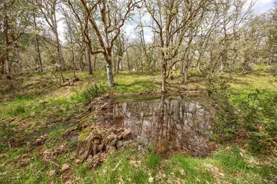 13645 E Evans Creek Road, Rogue River, OR 97537 - Photo 32