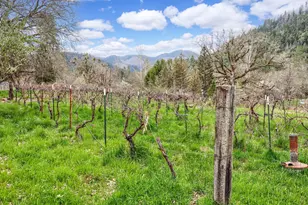 13645 E Evans Creek Rd, Rogue River, OR 97537 - Photo 14