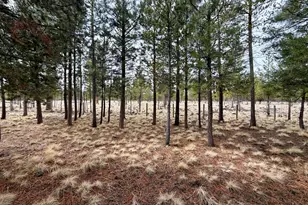 52495 Lost Ponderosa Rd, La Pine, OR 97739 - Photo 32