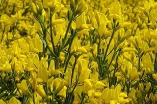 14741 N Sugar Pine Way, La Pine, OR 97739 - Photo 44