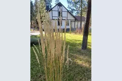 14741 N Sugar Pine Way, La Pine, OR 97739 - Photo 38