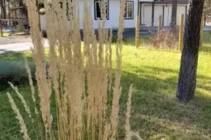 14741 N Sugar Pine Way, La Pine, OR 97739 - Photo 38