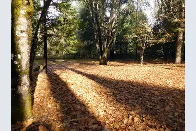 406 W Lister Street, Cave Junction, OR 97523 - Photo 1