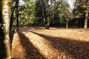 406 W Lister St, Cave Junction, OR 97523 - Photo 1