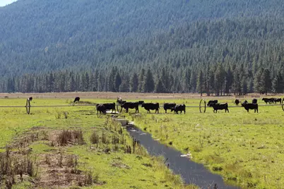 12046 Old Fort Road, Klamath Falls, OR 97601 - Photo 16
