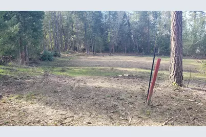 Messinger Road #200, Grants Pass, OR 97527 - Photo 2