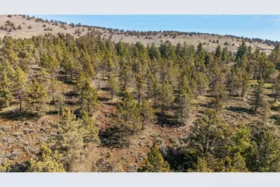 1140 Vine Maple Drive, Klamath Falls, OR 97601 - Photo 14