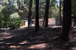 350 Hamilton Ave, Cave Junction, OR 97523 - Photo 30