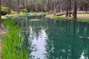 313 Eagle Ridge Dr, Grants Pass, OR 97526 - Photo 64