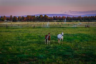 25271 Alfalfa Market Rd, Bend, OR 97701 - Photo 36