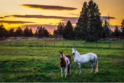 25271 Alfalfa Market Road, Bend, OR 97701 - Photo 72