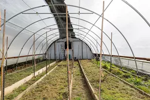 1392 Cedar Flat Rd, Williams, OR 97544 - Photo 28