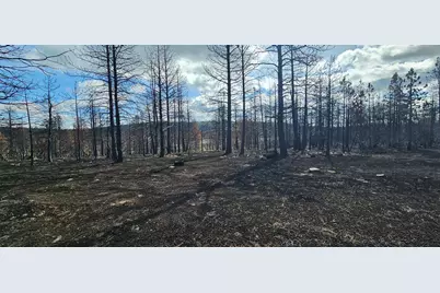 Mockingbird Drive #394530, Bonanza, OR 97623 - Photo 4