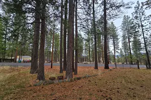 56548 Buckmaster St, Bly, OR 97622 - Photo 8