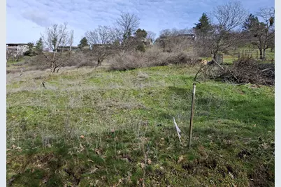 Pape Street, Ashland, OR 97520 - Photo 6