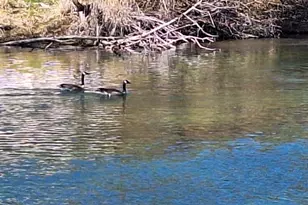 414 N Baker Ave, Chiloquin, OR 97624 - Photo 32