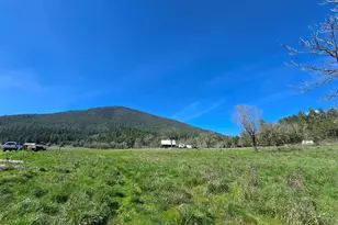 147 Warren Rd, Selma, OR 97538 - Photo 4