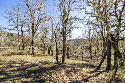 147 Warren Road, Selma, OR 97538 - Photo 16