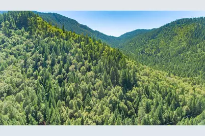 4901 Thompson Creek Road, Selma, OR 97538 - Photo 28