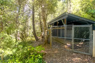 4901 Thompson Creek Rd, Selma, OR 97538 - Photo 22